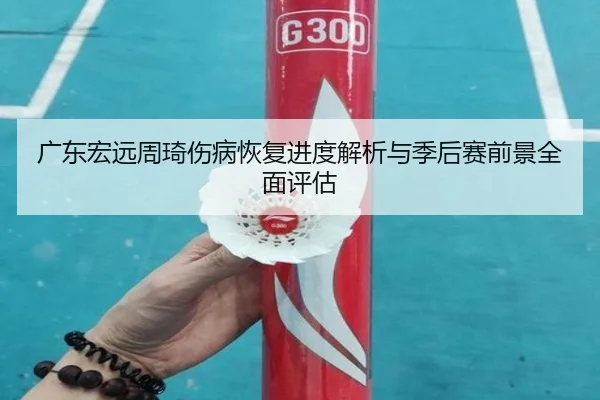 广东宏远周琦伤病恢复进度解析与季后赛前景全面评估