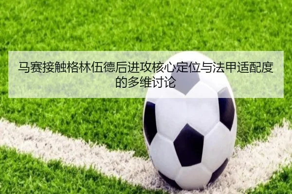 ma-sai-jie-chu-ge-lin-wu-de-hou-jin-gong-he-xin-ding-wei-yu-fa-jia-shi-pei-du-de-duo-wei-tao-lun-2-259.jpg