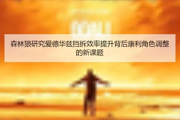 森林狼研究爱德华兹挡拆效率提升背后康利角色调整的新课题